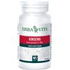 ERBA VITA GROUP SPA GINSENG 60 CAPSULE