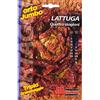 Magnani Lattuga quattro stagioni