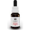 BUSH BIOTHERAPIES Pty Ltd Red Suva Frangipani Australina Bush Flower Essences 15ml