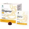 Gingemyr 24 gummies