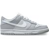 Nike Dunk Low (Gs)