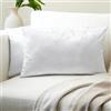 Encasa XO Encasa Homes Set 2 pezzi di coperture ammortizzanti in VELLUTO (30 x 50 cm), Bianca- semplici, resistenti, morbide e liscie, lavabili, a grandi quadrati decorativi, cuscino federa per divano, sofa