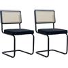 Uderkiny Set di 2 Sedie da Sala da Pranzo, Sedia in Rattan, Sedie da Cucina, Rivestite in Rattan, Cuscino in velluto - Base in Acciaio (Nero, 2)
