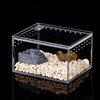 Jhxhhthongtong Contenitore per l'alimentazione Degli Insetti, Scatola per Terrario per Rettili Scatola di Alimentazione per Insetti per Ragni, Lucertole, Rane, Scorpioni, Barbecue, Gechi (10x8.5x6cm)