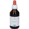 Sangalli TM Ribes (Ribes nigrum) 100 ml Gocce