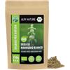 Alpi Nature Marrubio Bianco BIO 250g, Erba di Marrubio bio Essiccata e Tagliata, Tè Sfuso per Infusi