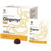 REVALMA INC Srl SOC. BENEFIT Gingemyr 24 gummies