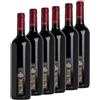 Villa Russiz - 6 bottiglie Merlot