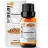 SenseLAB Olio essenziale di Incenso - Olio di Incenso Terapeutico Naturale e Puro al 100% per diffusore di Aromaterapia - Meditazione e Introspezione - Olio per la Cura Della Pelle (10 ml)
