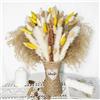 LZGS Go Swing Bands Fiori secchi decorativi Bouquet Erba Della Pampas Decorative 40-44 cm di fiori secchi naturali fai da te Ideale per il soggiorno Boho Camera da letto e vasi (LZGSGO-0113)