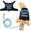 Fnaobai Bearded Dragon - Set di pettorina e guinzaglio regolabile per rettili e lucertola, kit per principianti, accessori per piccoli animali, per addestramento all'aperto a piedi (blu)