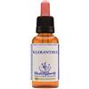 Natur Scleranthus Essenza 10 Ml 1 Pezzo
