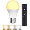 BrightArk Lampadina LED E27 con Telecomando, Lampadina E27 Dimmerabile, Lampadine LED da 9W, 3 Temperature di Colore 3000K-6000K, Lampadine Telecomandate con Funzione di Temporizzazione e Memoria