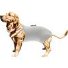 CAPASTEC Pannolini per Cani Lavabili E Riutilizzabili 1Pc XL per Gatti
