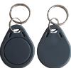 Portachiavi KF29 grigio RFID ISO14443a Fudan08 S50