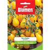 Blumen pomodoro pera giallo