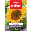 Blumen girasole semi commestibili