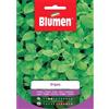 Blumen origano