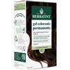 Antica Erboristeria HERBATINT 4D CASTANO DORATO 170 ML