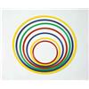 Cerchio in nylon colorato sezione piatta - da cm 50 a cm 80 50 cm