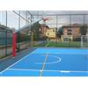 Basket monotubo sbalzo cm 225 con piastra da esterno 1 protezione cm 5