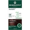 ANTICA ERBORISTERIA SPA Herbatint Tintura Capelli Gel Permanente 3Dosi 5R Castano Chiaro Ramato 300 Ml