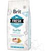 Brit Fresh Cane Adult Large Pesce e Zucca 12 Kg