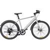 DYU Stroll 1 Bicicletta elettrica da città, 250W, Batteria 36V 9Ah, Pneumatico 700*38C CST, Freno idraulico, 100km - Argento