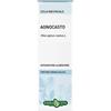 ERBA VITA AGNOCASTO EBV*S IALC 50ML - ERBA VITA - 902696614