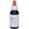 Antica Farmacia Orlandi Eie Galanga 60ml