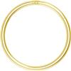 OUFER Body Piercing Nose Ring Hoop 20G Nose Ring Hinged Segment Helix Lip Rings Thin Nose Hoop Piercing Gold Cartilage Daith Rook Snug Tragus Conch Earrings Jewellery