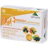 Lemuri@ Srl Henerga Pappa Reale Stick 100 ml Soluzione orale