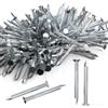 KGGZKG 93 Pezzi Chiodi Acciaio per Cemento Armato Chiodelli 50 mm Perni da Muro Chiodi per Quadri Muro Chiodi Zincati Argenteo per Mattoni Immagini Appese Chiodi in Legno Uso Universale per Interni Esterni
