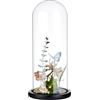 BENECREAT Copertura In Vetro Trasparente per Fiori Eterni Da 11.7x30cm, Vaso Cloche A Cupola con Display In Vetro con Base In Legno Massello Nero per Artigianato Floreale Fai-Da-Te