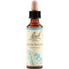 SCHWABE PHARMA ITALIA SRL Rock Water Bach Orig 20 Ml