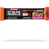 Enervit Gymline - High Protein Bar 50% (60g) Arancia & Cioccolato