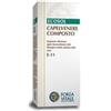 FORZA VITALE ITALIA SRL Ecosol Capelvenere Composto Gocce 50 Ml