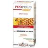 GRICAR CHEMICAL SRL Gricar Propoli Adulti Spray Orale 15 Ml