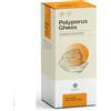 GHEOS SRL Polyporus Integratore 90 Capsule