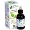 Alchimia Benoit Clorofilla Benoit 50 Ml