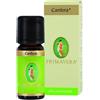 Canfora Olio Essenziale 10 Ml