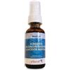 Mind Full Concentrazione E Lucidita' Mentale Spray Orale 30Ml