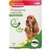 Beaphar Protezione Naturale Collare Antiparassitario Cane Piccolo/Medio 65Cm Di Lunghezza