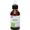 Betulla Bianca Semi Macerato Glicerico 100 Ml Bio