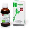 Betulla Bianca Linfa Gemmoderivato 50Ml