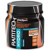 Ramtech Hydro 250 G Polvere Arancia Sport