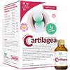 Cartilagea Salugea 18 Flaconcini Da 12 Ml