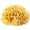 Spugna Mare Naturale Arcipelago 24 Cm