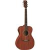 Eko Guitars - Duo A200e