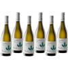 Belisario Vino Bianco Pecorino 2023 Igp Terre Di Chieti 75 cl 6 Bottiglie